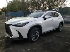 013623 2023 LEXUS NX