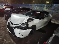 029369 2019 TOYOTA CAMRY