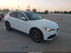 0ZASPAKBN0K7C4279 2019 ALFA ROMEO STELVIO