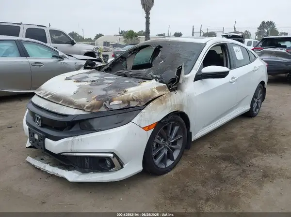 19XFC1F31KE215034 2019 HONDA CIVIC - Image 2