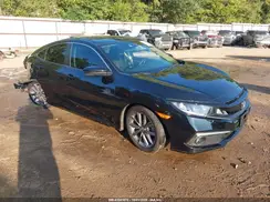 19XFC1F31LE013523 2020 HONDA CIVIC