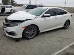 19XFC1F31LE203564 2020 HONDA CIVIC