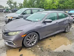 19XFC1F31LE206531 2020 HONDA CIVIC