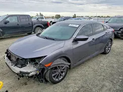 19XFC1F31LE217481 2020 HONDA CIVIC