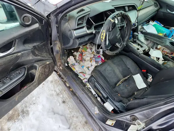 19XFC1F33HE201841 2017 HONDA CIVIC - Image 8