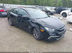 19XFC1F33KE019354 2019 HONDA CIVIC