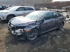 19XFC1F34LE206555 2020 HONDA CIVIC