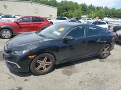 19XFC1F35LE200831 2020 HONDA CIVIC