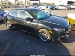 19XFC1F36KE217202 2019 HONDA CIVIC
