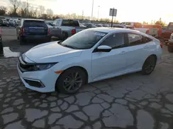 19XFC1F36LE008446 2020 HONDA CIVIC