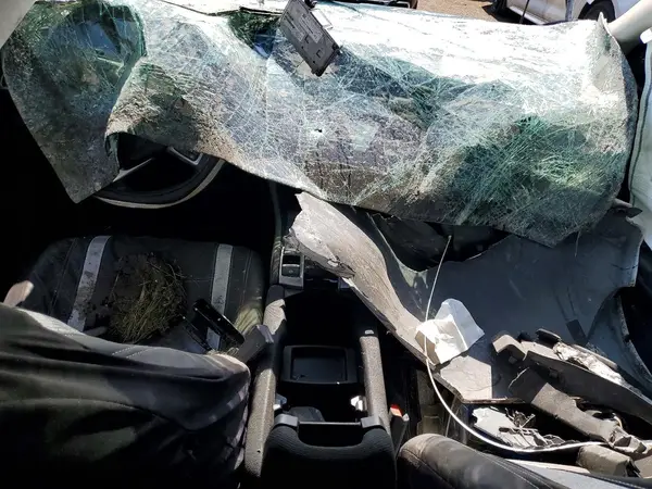 19XFC1F36ME007038 2021 HONDA CIVIC - Image 8