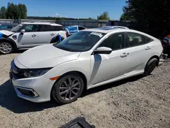 19XFC1F37KE207164 2019 HONDA CIVIC