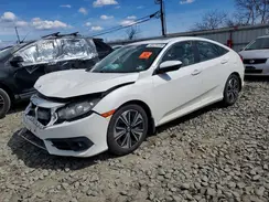 19XFC1F75HE200239 2017 HONDA CIVIC