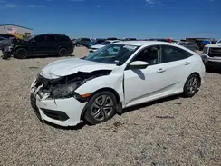 19XFC2F50HE200556 2017 HONDA CIVIC