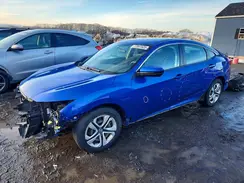19XFC2F56HE203493 2017 HONDA CIVIC