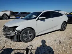 19XFC2F60KE006769 2019 HONDA CIVIC