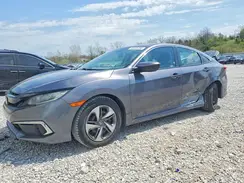 19XFC2F63KE031052 2019 HONDA CIVIC