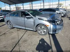 19XFC2F64LE206300 2020 HONDA CIVIC