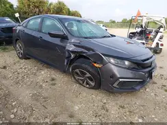 19XFC2F66KE007425 2019 HONDA CIVIC