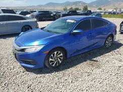19XFC2F76HE024310 2017 HONDA CIVIC