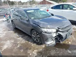 19XFC2F77HE230915 2017 HONDA CIVIC