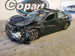 19XFC2F81HE029407 2017 HONDA CIVIC