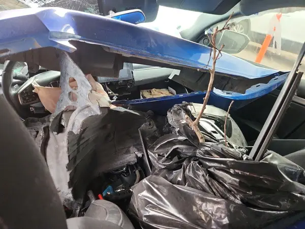 19XFC2F82ME002677 2021 HONDA CIVIC - Image 8