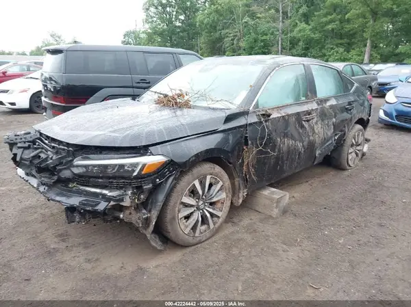 19XFL1H70RE015434 2024 HONDA CIVIC - Image 2