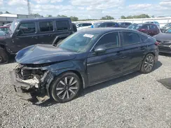 19XFL1H71RE002353 2024 HONDA CIVIC