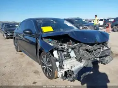 19XFL1H79RE002343 2024 HONDA CIVIC