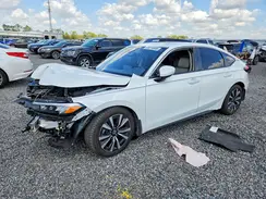 19XFL1H79RE019448 2024 HONDA CIVIC