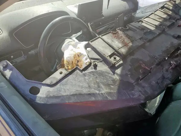 19XFL1H7XNE008906 2022 HONDA CIVIC - Image 8
