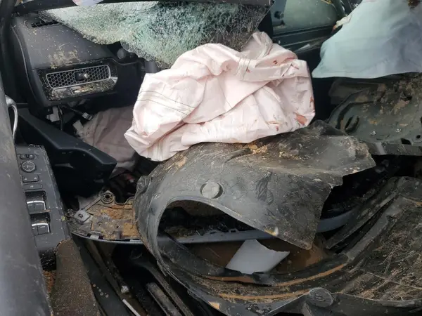 19XFL2G81RE029519 2024 HONDA CIVIC - Image 8