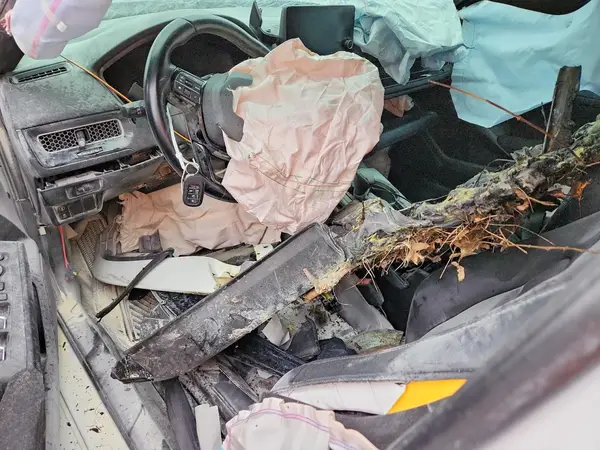 19XFL2H81NE014401 2022 HONDA CIVIC - Image 8