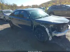 19XFL2H87SE032803 2025 HONDA CIVIC