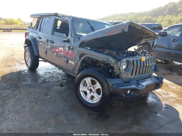 1C4HJXDN4LW202498 2020 JEEP WRANGLER - Image 1