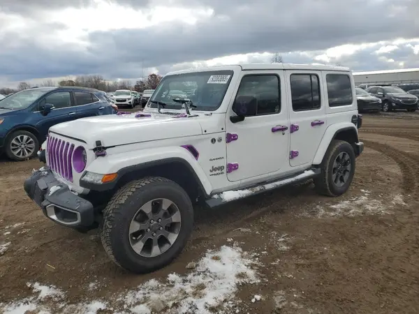 1C4HJXEN0LW225985 2020 JEEP WRANGLER - Image 1