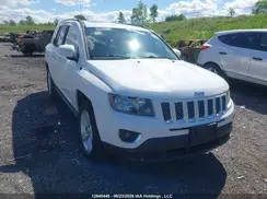 1C4NJDAB8GD770797 2016 JEEP COMPASS