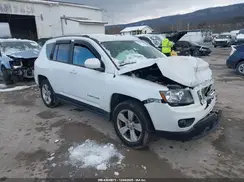 1C4NJDEB2HD163502 2017 JEEP COMPASS