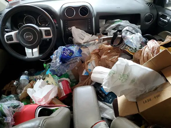 1C4NJDEB3HD193799 2017 JEEP COMPASS - Image 8