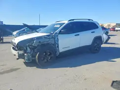 1C4PJLAB0HW559974 2017 JEEP GRAND CHEROKEE