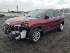 1C4PJLCB0KD203444 2019 JEEP GRAND CHEROKEE