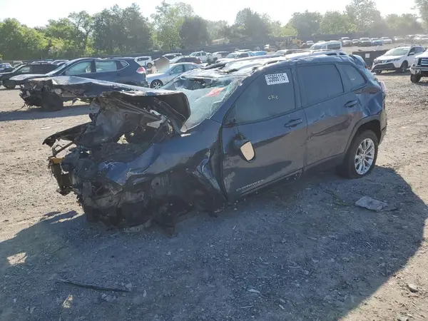 1C4PJLCB0LD556669 2020 JEEP GRAND CHEROKEE - Image 1