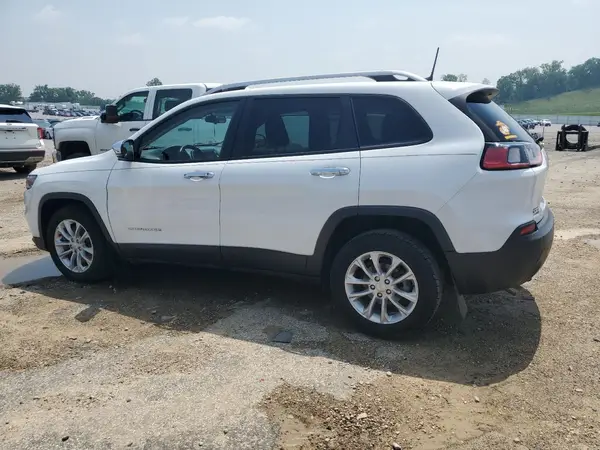 1C4PJLCB3LD553006 2020 JEEP GRAND CHEROKEE - Image 2