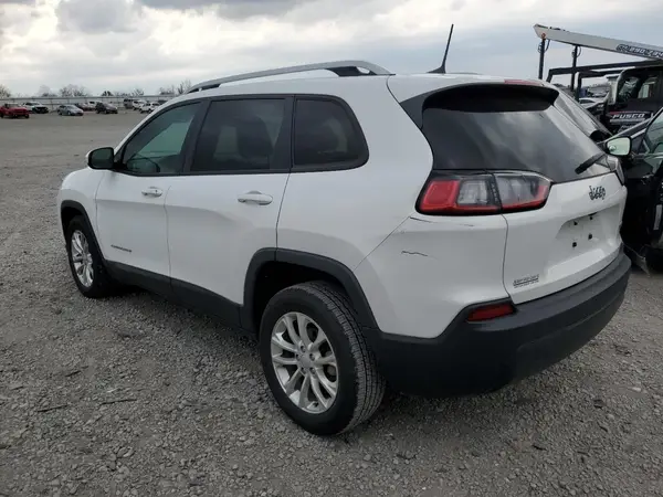 1C4PJLCB4LD568663 2020 JEEP GRAND CHEROKEE - Image 2