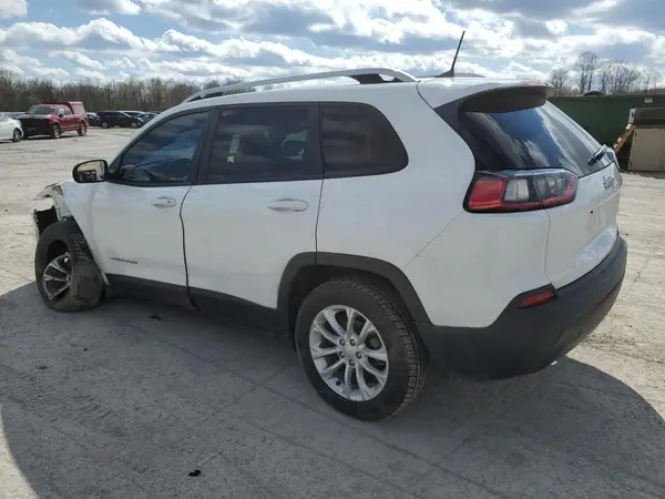 1C4PJLCB4LD653051 2020 JEEP GRAND CHEROKEE - Image 2