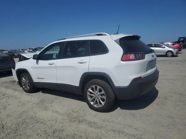 1C4PJLCB5LD561415 2020 JEEP GRAND CHEROKEE - Image 2