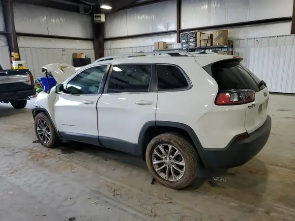 1C4PJLCB7KD160561 2019 JEEP GRAND CHEROKEE - Image 2