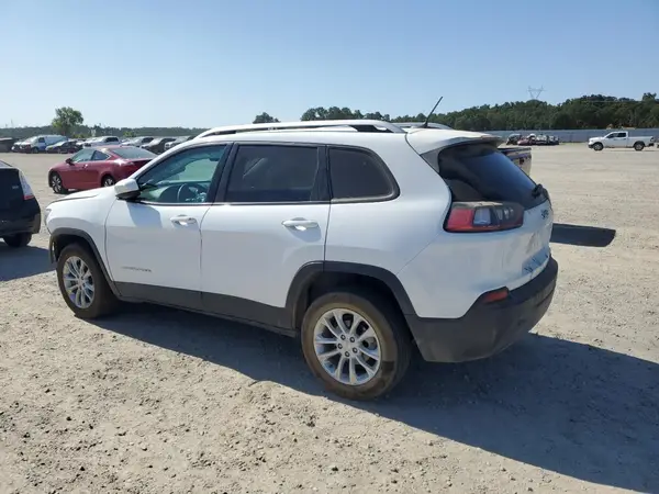 1C4PJLCB7LD605866 2020 JEEP GRAND CHEROKEE - Image 2