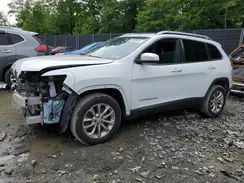 1C4PJLCB9KD312162 2019 JEEP GRAND CHEROKEE